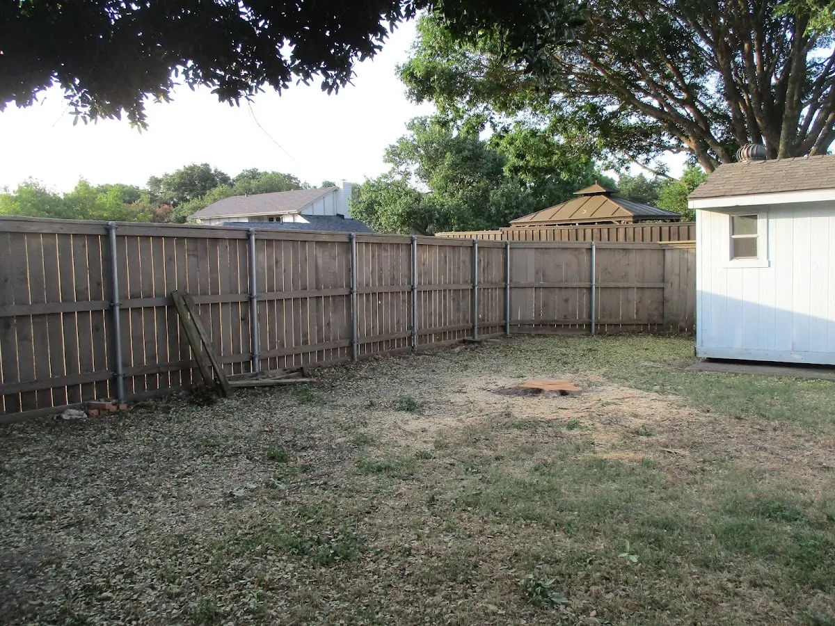Cleared yard after professional tree removal in Eldred